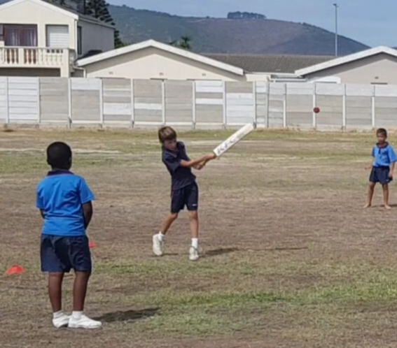 cricket