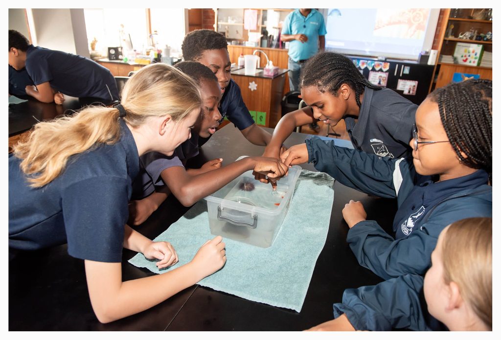 explore